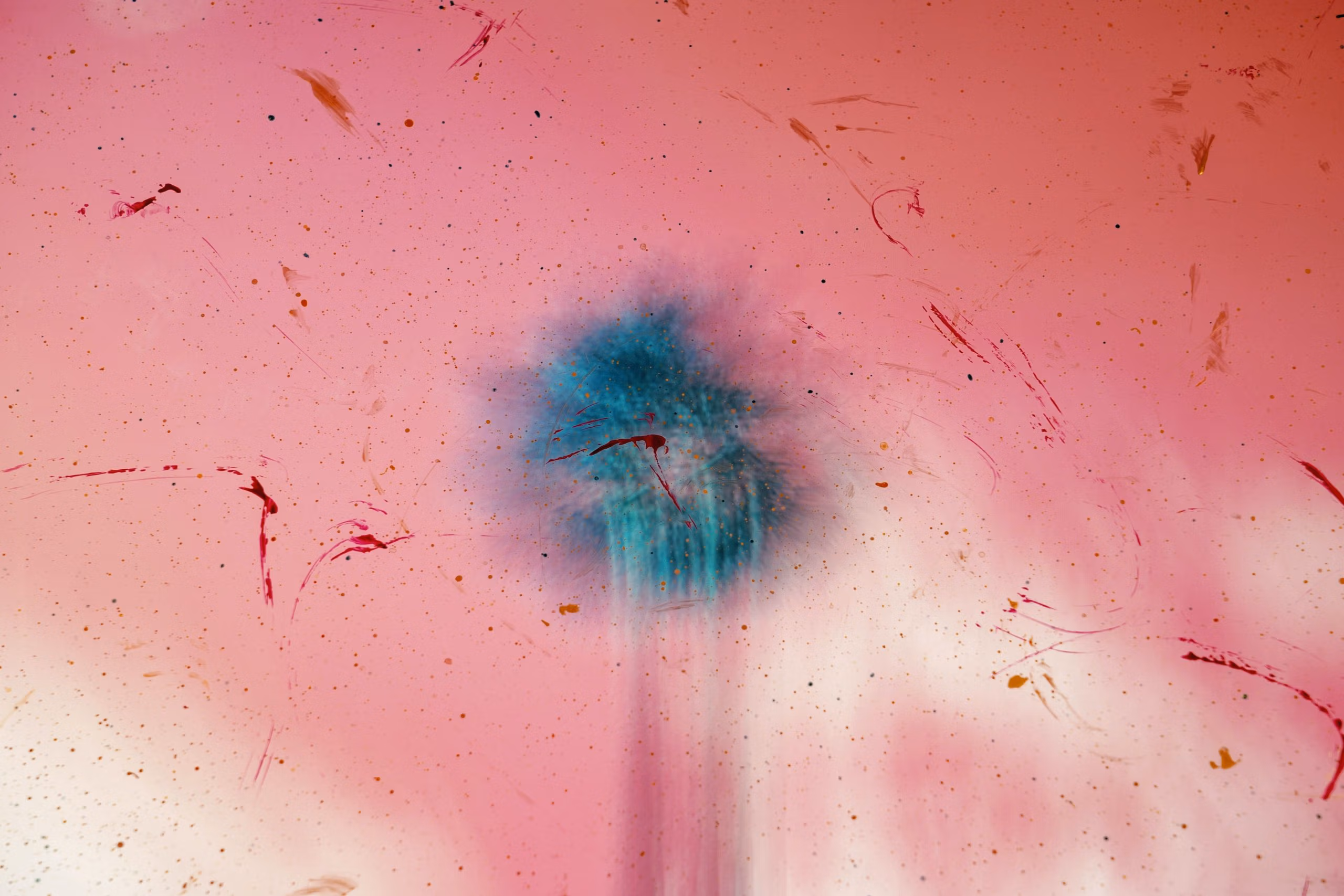 Understanding the Basic Link Between Gut Health and Depression