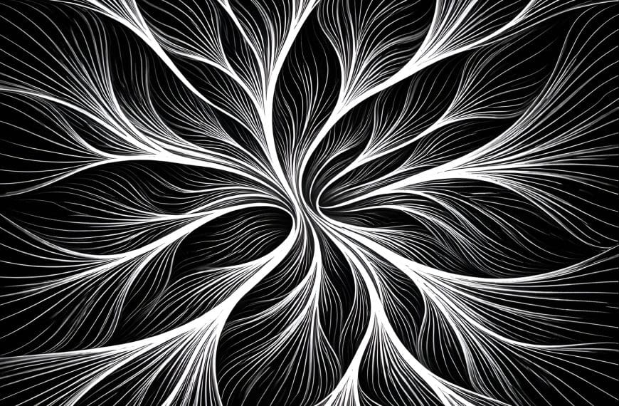 Black-and-white abstract contour lines showing branching and converging pathways under pressure, symbolizing decision paralysis.