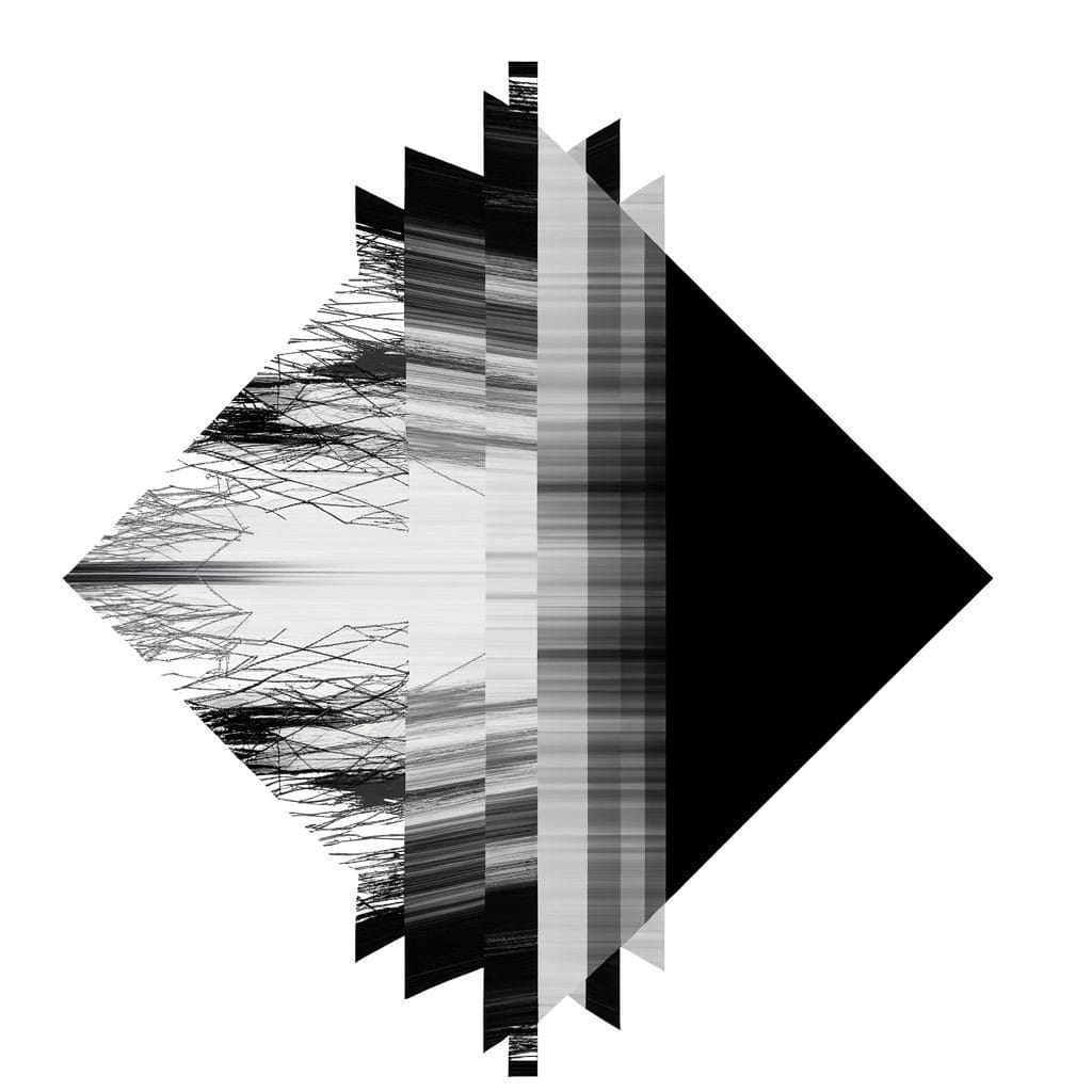 Abstract lines depicting the interaction between external competence and internal alienation in monochrome.